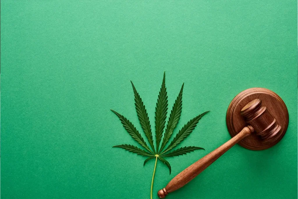 Descriminalização da maconha: o que muda legalmente com a decisão do STF?
